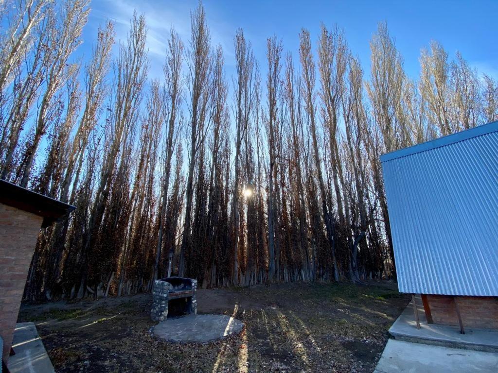 Hosteria & Cabanas Rio Fenix Perito Moreno Exteriér fotografie